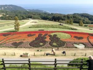 平野　１０２８花さじき　２